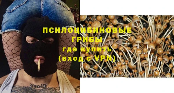 MDMA Premium VHQ Зеленокумск