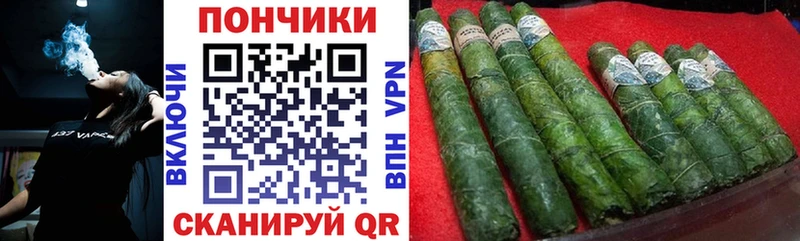 Купить закладки  Демидов  Бошки марихуана индика 